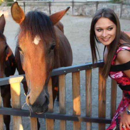 Hotel Holiday Farm Rashaville-rasino Selo